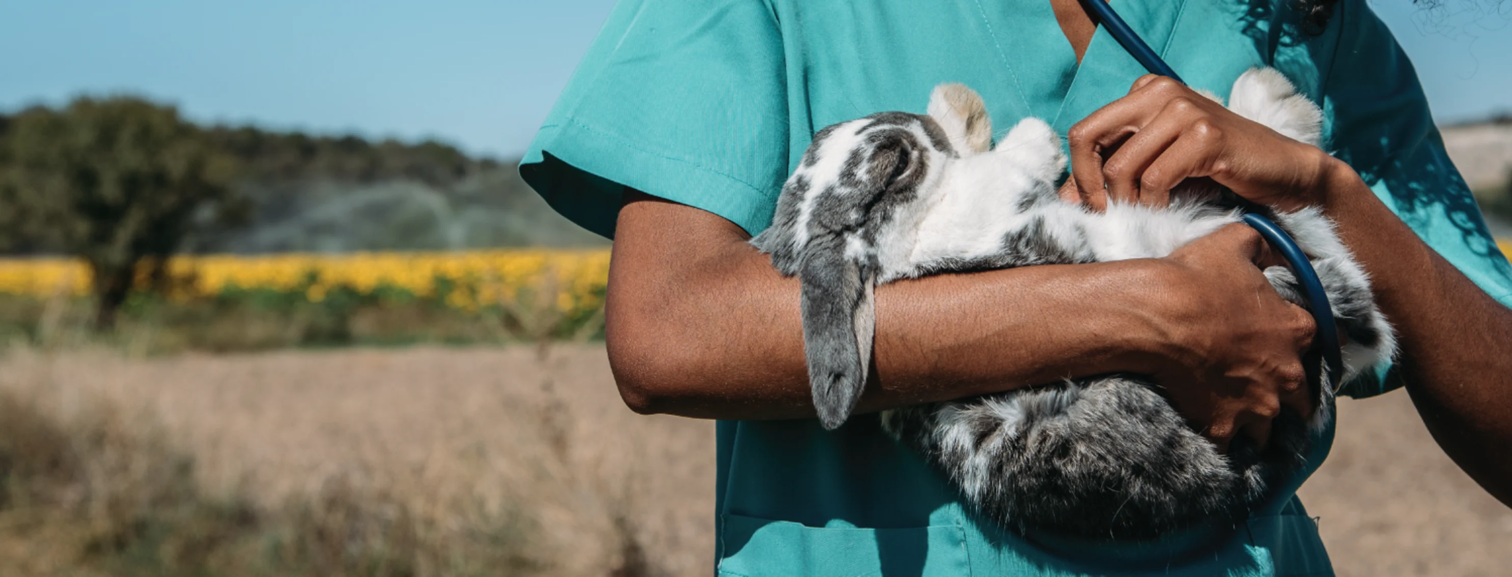 Woman holding rabbit while outside